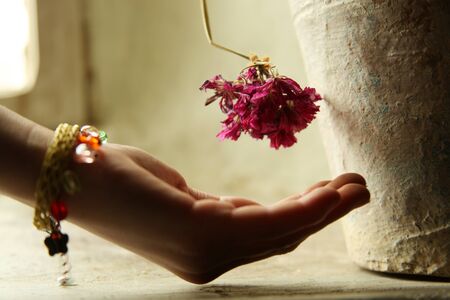 withered flower and girl childの写真素材