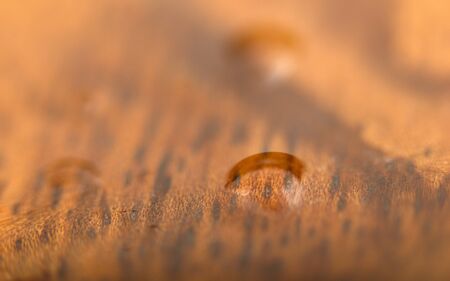 Wet wooden surface.Textured, Backgrounds.の写真素材