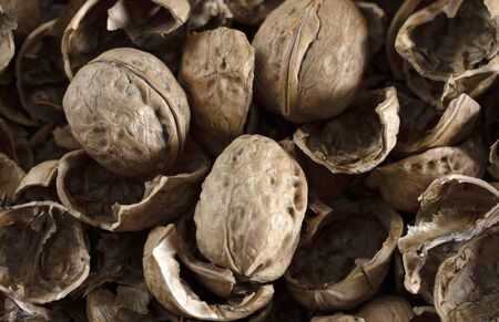 walnut shell and walnut texture background