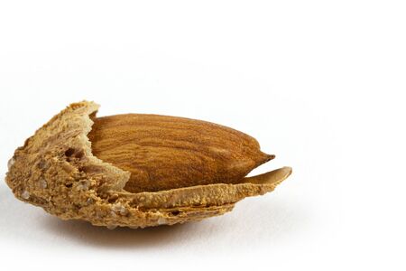 roasted, shelled and salted almondsの写真素材