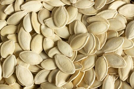Fresh pumpkin seeds background. Close-up.