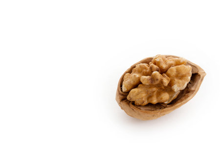 walnuts on a white backgroundの写真素材