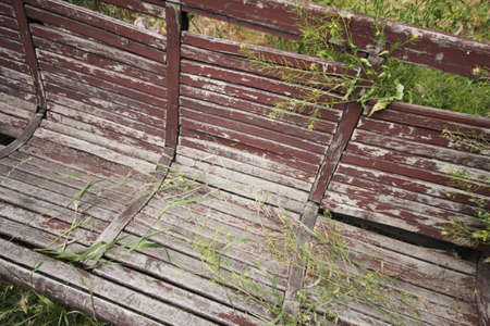 abandoned garden and old bench