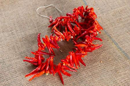 Red dried very hot peppersの写真素材
