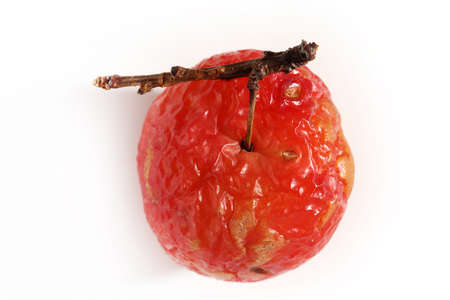 crumpled plum on a white background