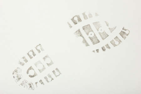 shoe print on a white backgroundの写真素材
