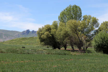 Cultivated land in the countryside. agriculture concept.