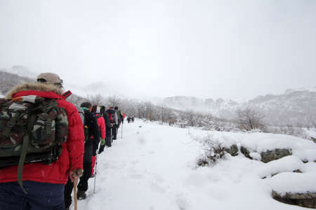 Group of mountaineers walking trough the mountains covered with snow.の写真素材