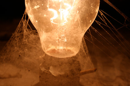 light bulb with spider web