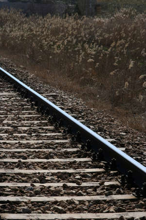 railway lines in nature with meadows