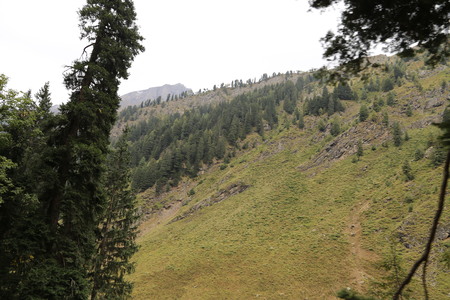 Amazing scene of tree with mountainsの写真素材