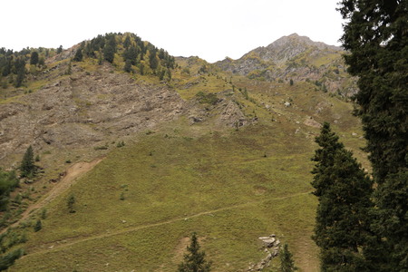 Beautiful scene of trees with mountains in the area of kashmirの写真素材