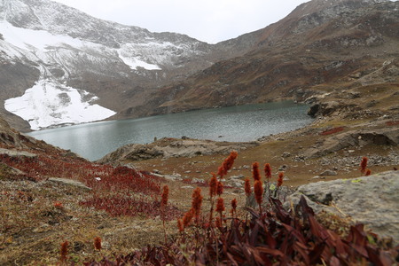 Rati gali lake in kashmir with red grassの写真素材
