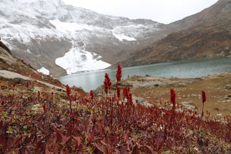 Covered mountain by snow with amazing view of lakeの写真素材