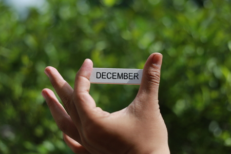 Text December written on wood stick hold by hand in nature green background. Holidays, reminder and month calendar concept. Selective focus.の写真素材