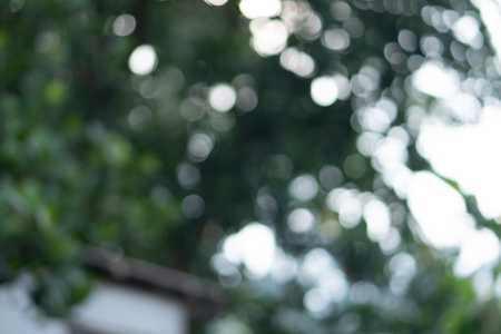 blurred nature background. Abstract.の写真素材
