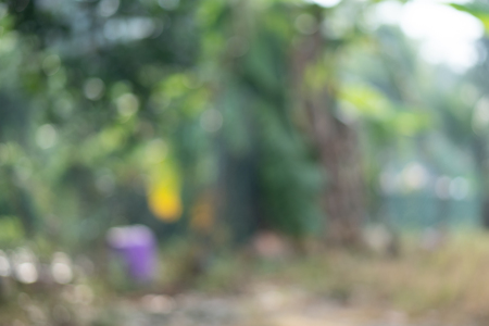blurred nature background. Abstract.の写真素材