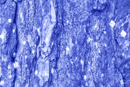 blue pine bark texture. Natural wooden element . zero waste concept. Home and office ecological background. forest solutions at room. Design transformation of space.Front view. Copyspase banner.の写真素材