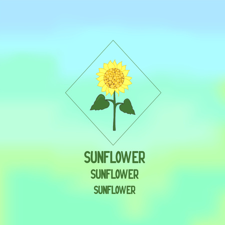 sunflower background. vectorのイラスト素材