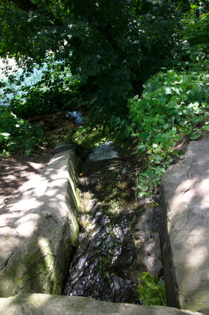 Small waterfall in the forest on a sunny summer day. natural background.の写真素材