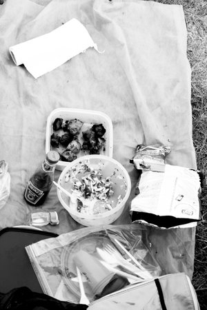 Homemade food in plastic bag on grass. Black and white.の写真素材
