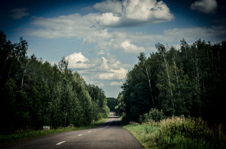 Country road through the forest in summer. Russia. Toned.の写真素材