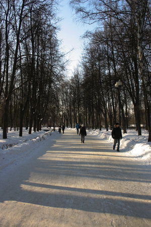 People walking in the park in winter, closeup of photo.の写真素材