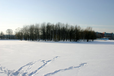 Winter landscape with frozen lake, trees and blue sky in sunny dayの写真素材