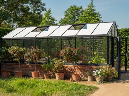 Greenhouse for vegetables. The interior of a home greenhouse for growing vegetables.の写真素材