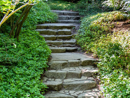 Stone steps in the forest. Steps made of stone in the forest. close upの写真素材