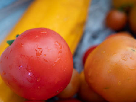 Red fresh ripe tomatoes in the greenhouse. Ecological harvest.の写真素材