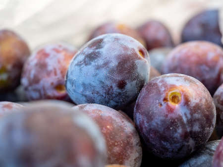 Photo of plum fruits. Texture background of fresh purple plums. close upの写真素材