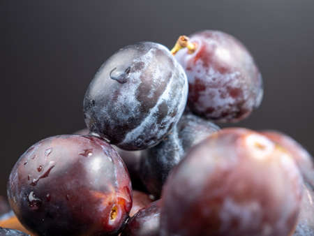 Fresh juicy plums. Plums on a black background. close upの写真素材