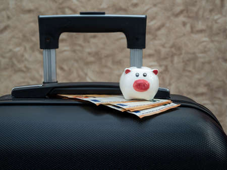 Small piggy bank on a suitcase. The concept of saving money to relax and travel. Vacation.の写真素材