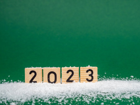 The inscription in wooden letters 2023 on a green background. Close up.