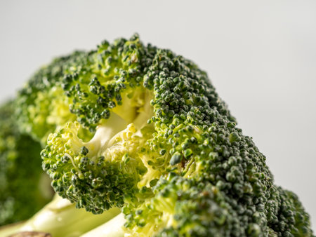 Broccoli on a white background. Head of broccoli. Close up.