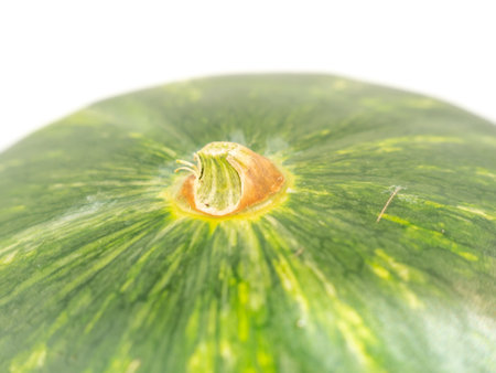Ripe watermelon isolated on white background. Juicy watermelon. Close up.の写真素材