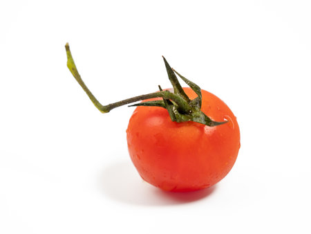 Bunch of fresh red tomatoes with green stems isolated on white background. Tomato close up.の写真素材