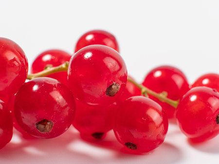 Ripe red currant on a light background. Currant closeupの写真素材
