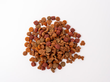 Dog food on a white background. Treats for dogs.の写真素材