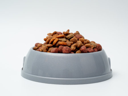 Dog food on a white background. Treats for dogs.の写真素材