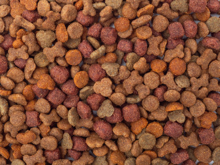 Dog food on a white background. Treats for dogs.