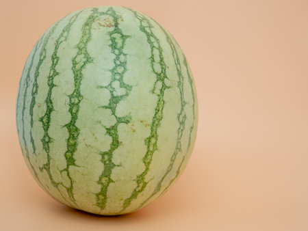 Striped watermelon on an orange background. Ripe watermelon close-up.の写真素材