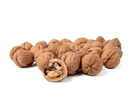 Walnut isolated on white background. Walnut closeup on white.の写真素材