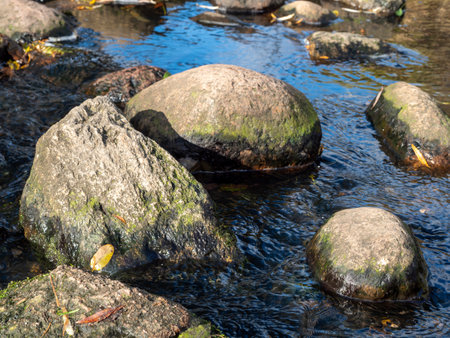 Water flows among the stones. Flow of water and stones. Stones in flowing water.の写真素材