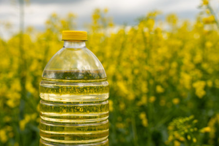 A bottle of rapeseed oil against the background of a yellow blooming rapeseed field. A bottle of rapeseed oil and blooming rapeseed fields.の写真素材