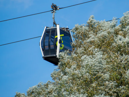 A cable car is suspended above the tree. The sky is clear and blue