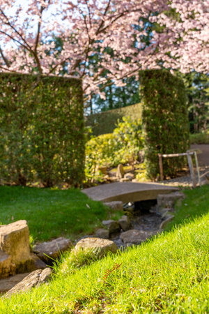 A small bridge is over a stream in a park. The bridge is made of stone and is surrounded by bushes. The bushes are green and are located on both sides of the streamの写真素材