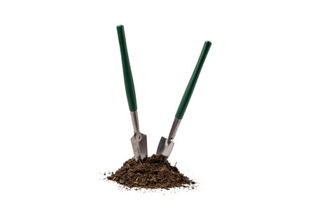 Two green shovels are stuck in a pile of earth. The shovels in the ground are isolated on a white background.の写真素材