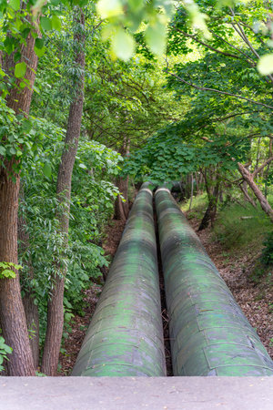 Two large pipes in the forest. Two green pipes lead through a forest. Technology meets nature in a tranquil setting.の写真素材